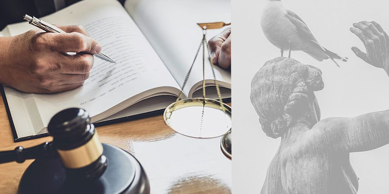 danisman-avukat danisman-avukat