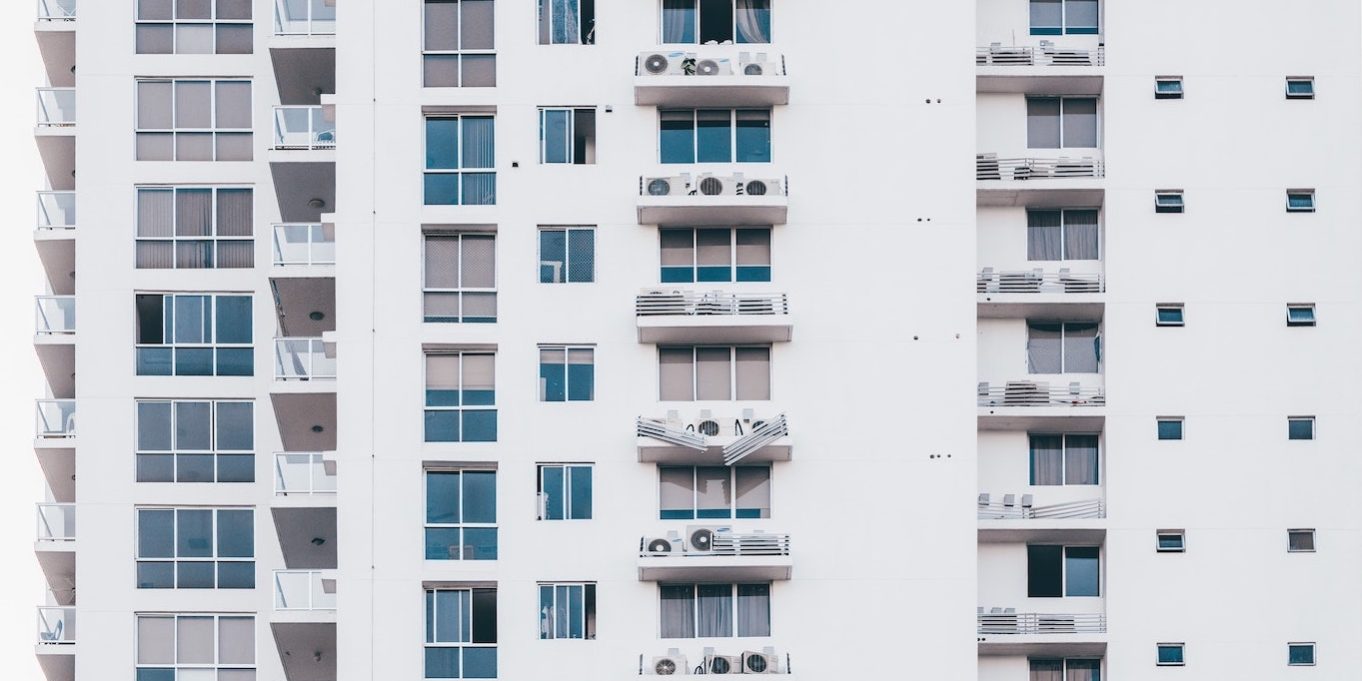 pexels-luis-quintero-2091634