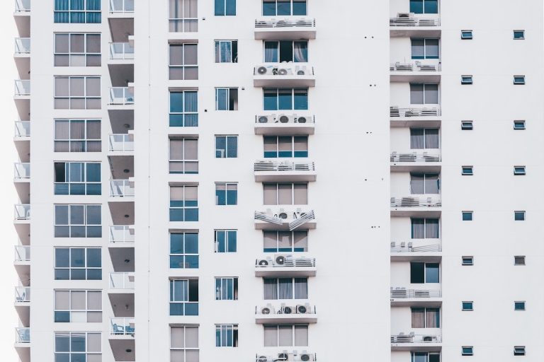 pexels-luis-quintero-2091634